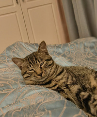 ����������3�κ���ȥKTVԼ�ᣬ���ɾ�����Ϊ����һ�����ȯ