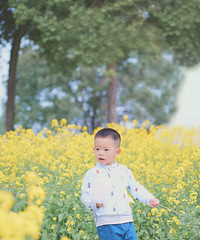 쳬ƬͲ˻أ򼷡¶Ӫɻ