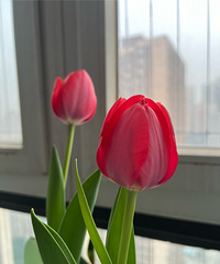 ����һ���µ�emoji �Ƶ������㣬ÿ�쿴3�ٱ飬���ڿ�����