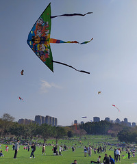 ������������빫԰��ʵ������Ľ