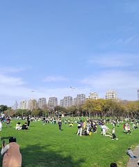 ������������빫԰��ʵ������Ľ