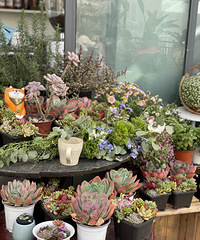 ɹ̫Ȳ衢߾Ʒ·ߣˣ̫