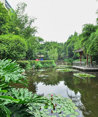 ���԰�ܱ�¥���Ƽ����������˺͡�Ƚ�Ұӣ���¥���Ƽ�