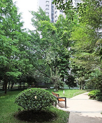 ���԰�ܱ�¥���Ƽ����������˺͡�Ƚ�Ұӣ���¥���Ƽ�