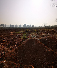 ΢��԰�����㳡���������ڸ��