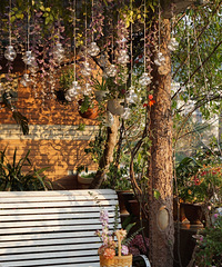 һ����ҲҪ�ú�����Ϸ���̨��ɫ