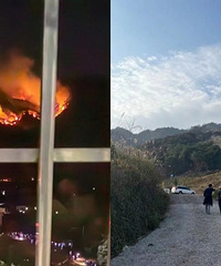 春暖花开,实探火后的缙云山