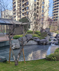 ˭˵��β�ˣ��ڴ����ó������������������������