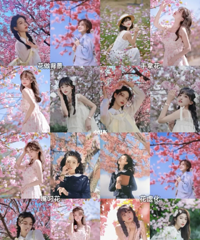 春天不知道怎么拍照?这组花花写真值得拥有,自己就能拍大片