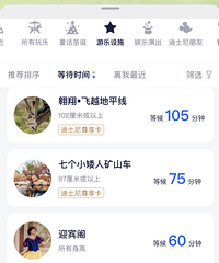 迪士尼门口凌晨2点开始排队,到底是谁疯了?