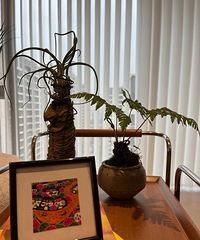 100ƽ¼סشϲĻݲ̻ؼ