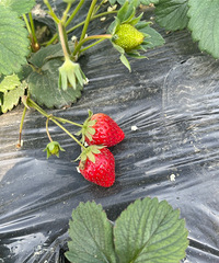 91��157CM��С������飬ϣ���Է�����170����