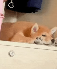 ������ֵ���򡿱���˹�����29���յ�������Һ5Һ1��