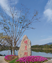 ������-���º�������Эͬ������δ������