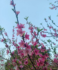 89��158CM�Ĳ���С������飬ϣ���Է����Ⱞ�˶�