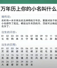 �����������С����ʲô��