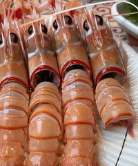 ���778/λ��������Ȼ����������ȴ����ɱ���