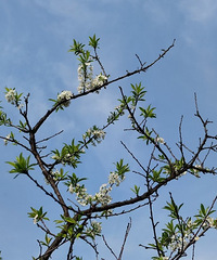 ����������ڶ���Ͳ������ˣ��һ�Ҫ�ʶԷ�����������