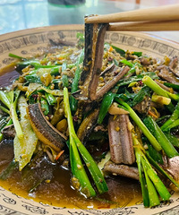 ��û�ú���һ��ϲ������������ѣ������Ҷ����Ƽ�