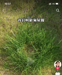 ����С���Ĳ�ƺҲ�����ֵ�ô��