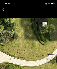 ����С���Ĳ�ƺҲ�����ֵ�ô��