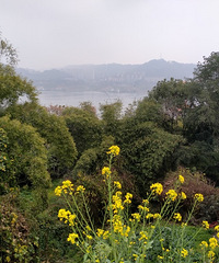 山野徒步踏青,登飞来神石览长江美景