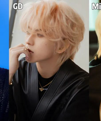 24��Ĳ�������40�������