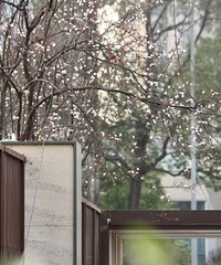 ���ղ��٣�������ʱ������һ�껨��ʱ