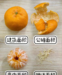 ��������Ϊʲô��˵���������!