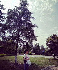 93��155CM�Ĳ����������飬ϣ���Է�93~88��