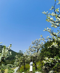 ɽҰ̫ˣؼѣ궼ܳƬ