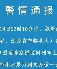 一男子在列车上突发躁狂刺伤一女子