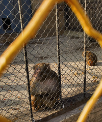 ������һ�׷��ӣ���ô����ֱ����ϵ��ҵ��̸�۸�