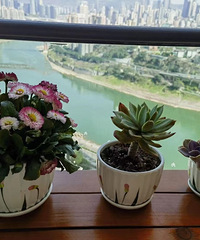 ��û�ô����������ĸ�С����