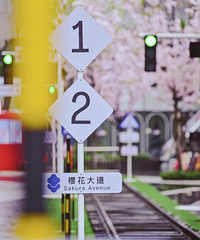 �⻷���﹫԰ӣ�������һ�봩Խ�º�������