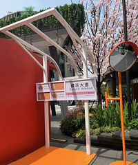 光环购物公园樱花大道,一秒穿越新海诚世界