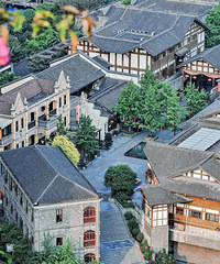 ��ｫ����ƺ�����׸���Ȧ������Ŀ