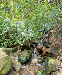 ͽ·ŷɹŵгͽװ棬αر