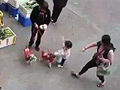 2岁女童摸狗被咬