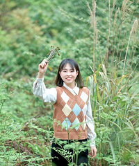 ����Ҫ���Ŵ�Ұ