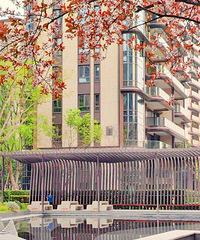 ɹɹ˴ɽ����ů�����羰��ÿһ�궼�в�һ������