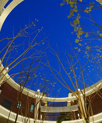 �������ص���ҵ������!