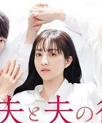 �������ɷ���ɷ�����ѡ�����ը��