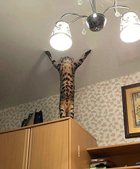 ��ô���ڻ�������˵����û��������Ϊ�㲻Ŭ����