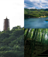 3月21日!重庆这些地方免费开放