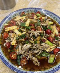 ȫ��ƺ����ϲ���ľ�����Ҽҳ���