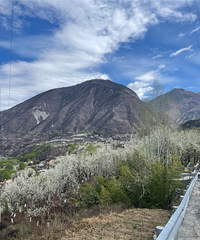 ȥ𴨸Ķ滨һĩܸ㶨ֵ̫