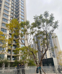 ���Z��ɽ�Ƽ��ӷ��ˣ��о�����λ����õ�������