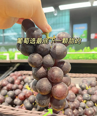 �ٷ�֮99���˲����õ�ˮ����ѡ���ɣ������ղ�