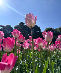 �����д������ǳ��¿�ϲ����ʱ�ڰ���������û����ϲ���ĳ���